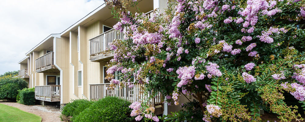 Sea Scape Beach And Golf Villas Kitty Hawk Extérieur photo